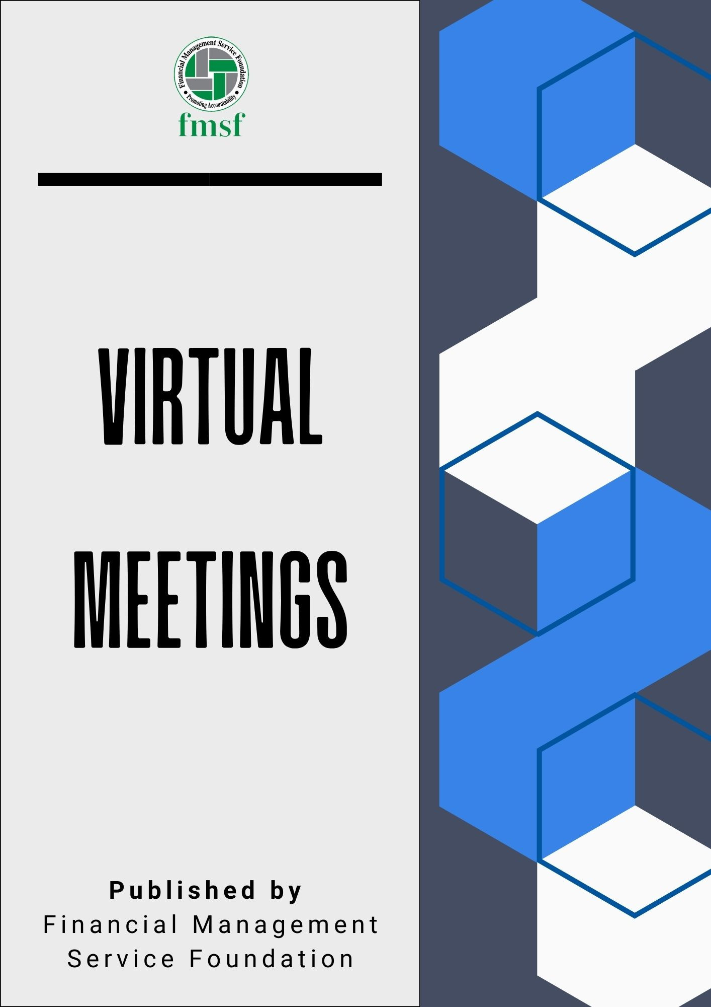 https://www.npopedia.com/storage/books/thumb/virtual-meeting-08122402240579.jpg